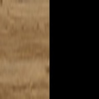 Dąb Catania / Czarny