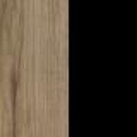 Dąb Katania / Czarny