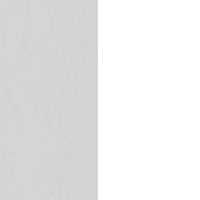 Biały Alpin Supermat / Billbergia