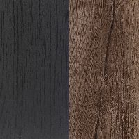 Dąb Czarny / Dąb Szlachetny